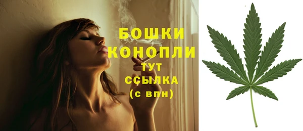 мяу мяу кристалл Няндома
