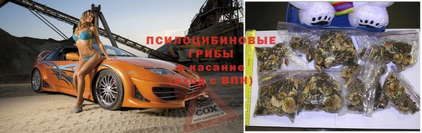 марки lsd Абаза